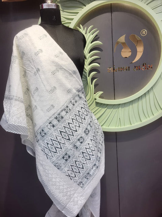 Elegant White Chikankari Saree with Contemporary Ikat Pallu